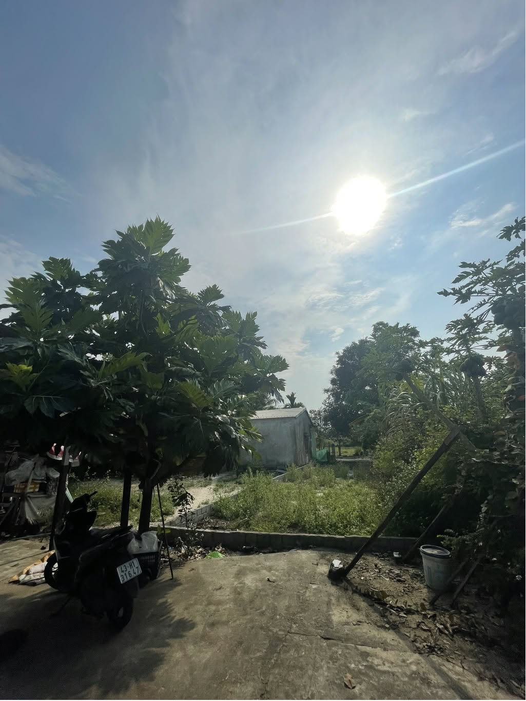 dat-duong-luu-quang-vu